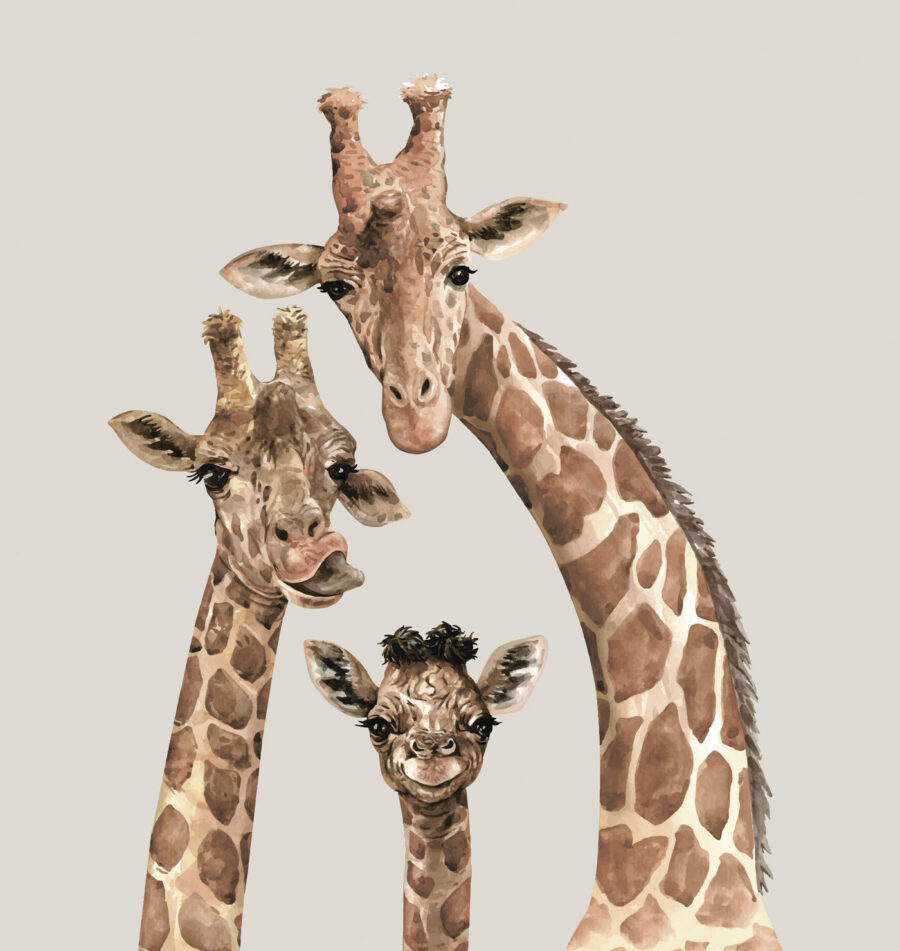 Un groupe de girafes avec leurs têtes ensemble