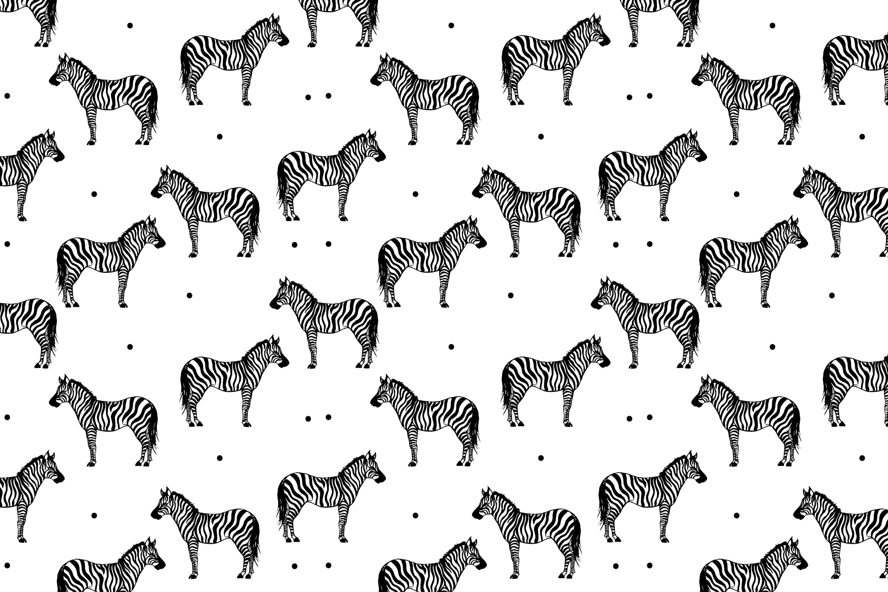 A pattern of zebras on a white background A pattern of zebras on a white background
