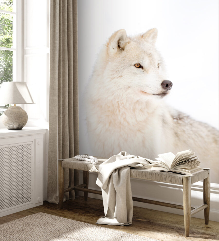 Papier peint Un loup blanc dans la neige – Image 3