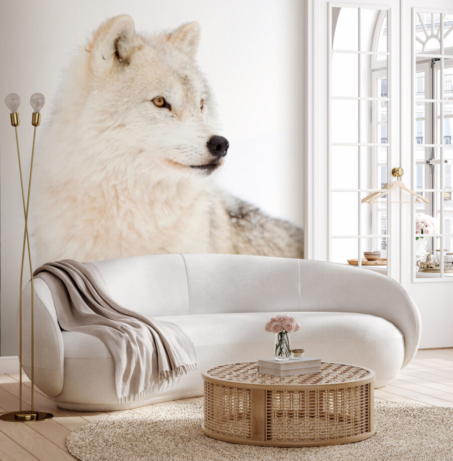 Papier peint Un loup blanc dans la neige – Image 2