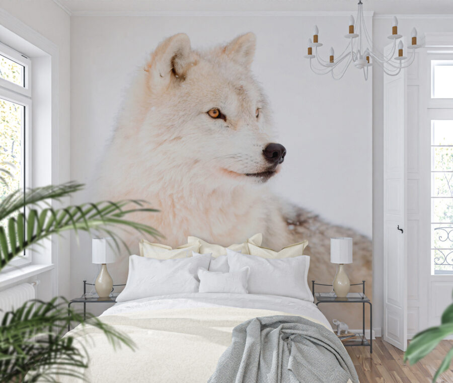 Papier peint Un loup blanc dans la neige
