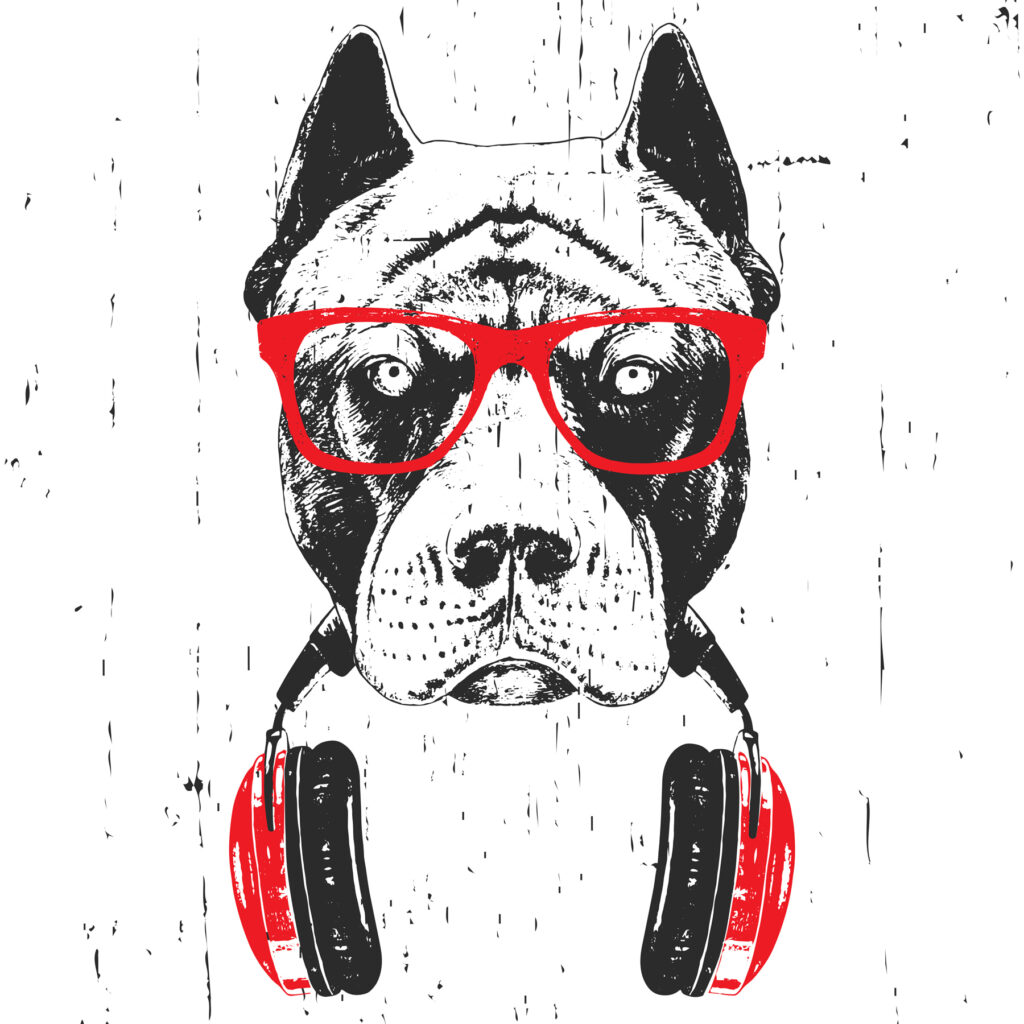 Un chien portant des lunettes et des écouteurs Un chien portant des lunettes et des écouteurs