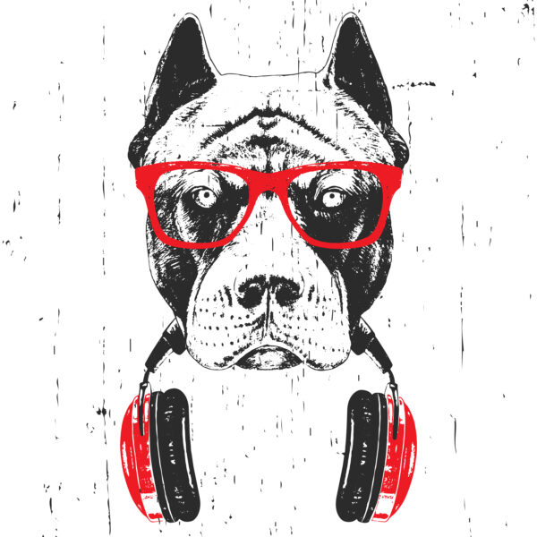 Un chien portant des lunettes et des écouteurs Un chien portant des lunettes et des écouteurs