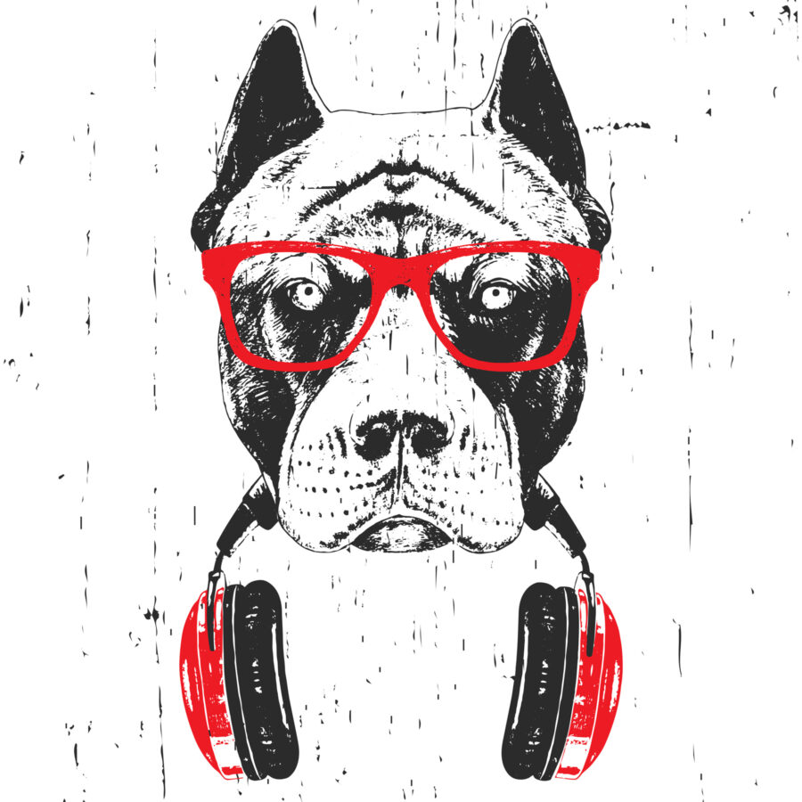 Un chien portant des lunettes et des écouteurs Un chien portant des lunettes et des écouteurs