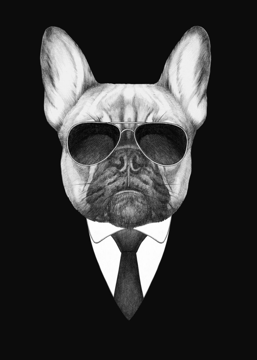 Un chien portant des lunettes de soleil et un costume