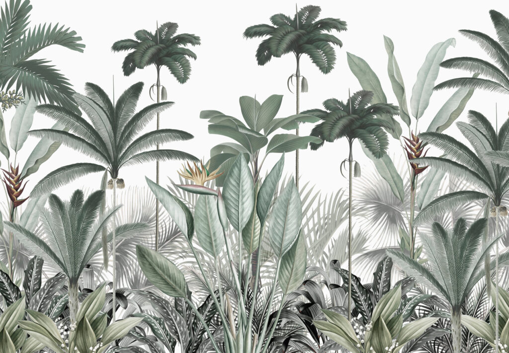 Un groupe de plantes avec des fleurs Un groupe de plantes avec des fleurs