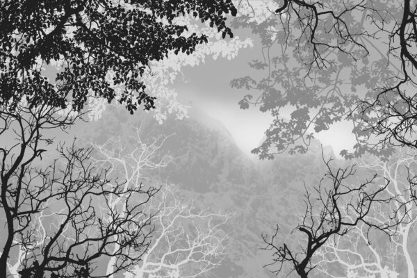 Un groupe d'arbres avec des branches et des feuilles Un groupe d'arbres avec des branches et des feuilles