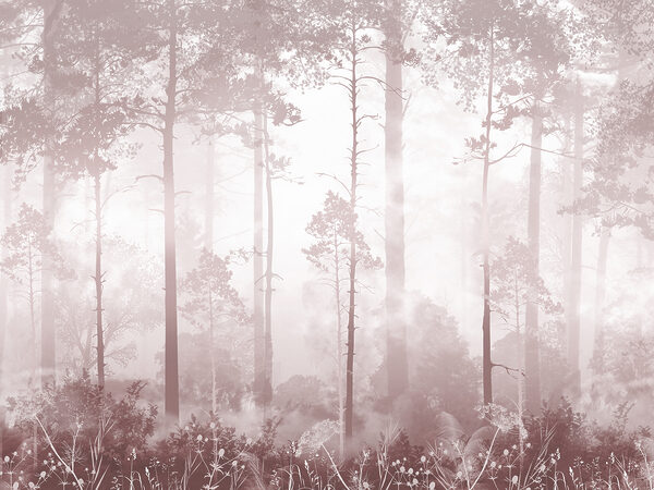 Une forêt brumeuse avec de grands arbres Une forêt brumeuse avec de grands arbres