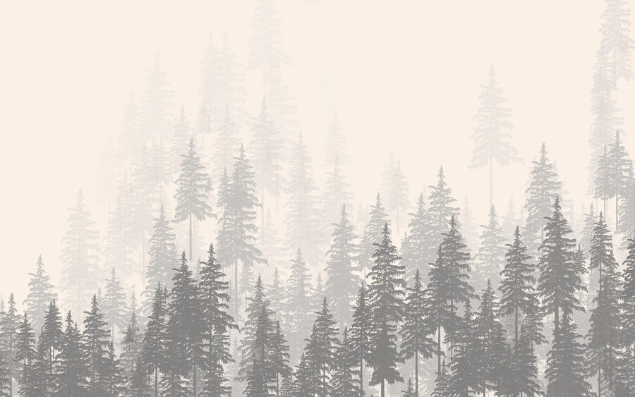Un groupe d'arbres dans une forêt