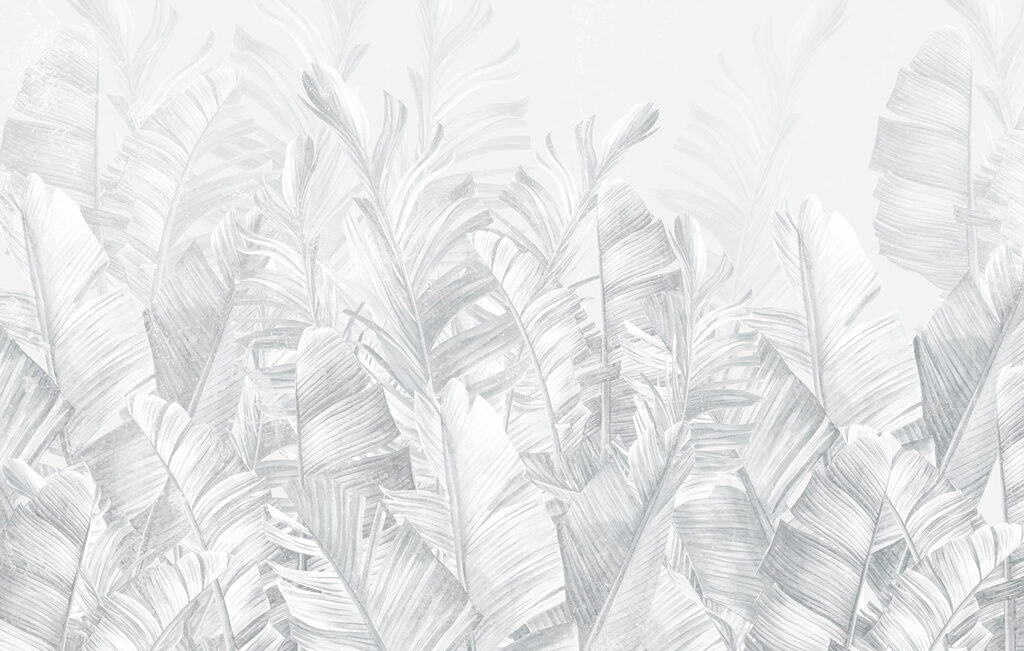 Un groupe de feuilles blanches Un groupe de feuilles blanches