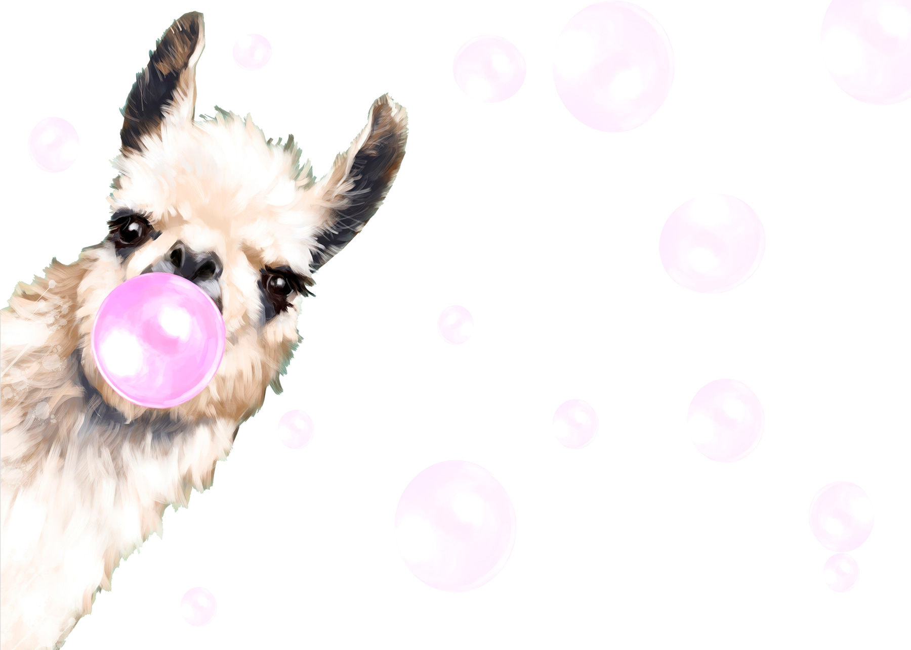 A llama blowing a bubble