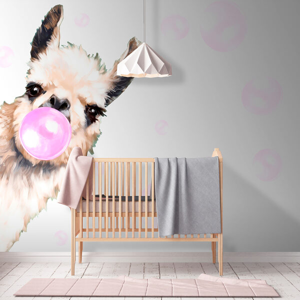 Un lama soufflant une bulle Un lama soufflant une bulle
