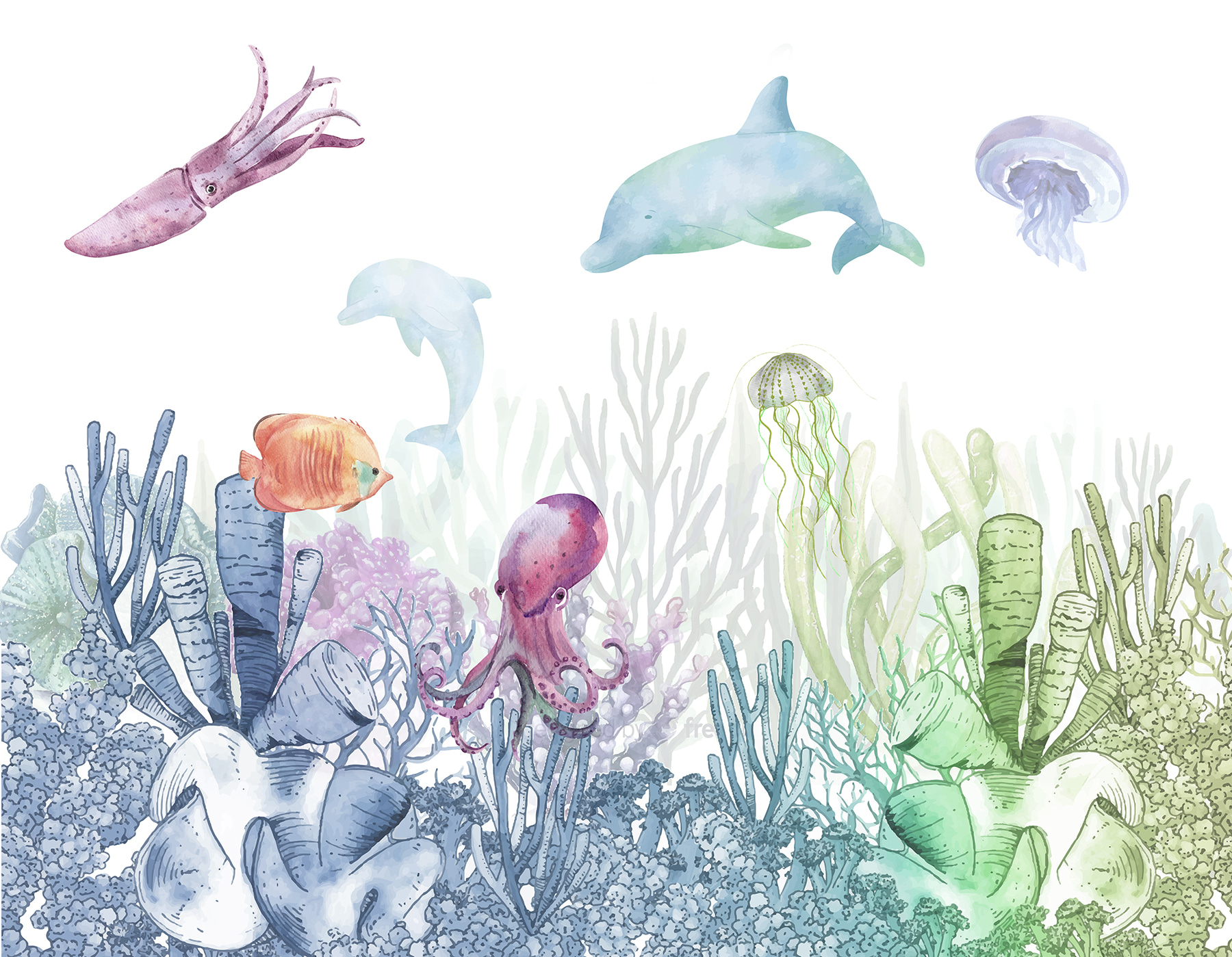 A watercolor of a sea life
