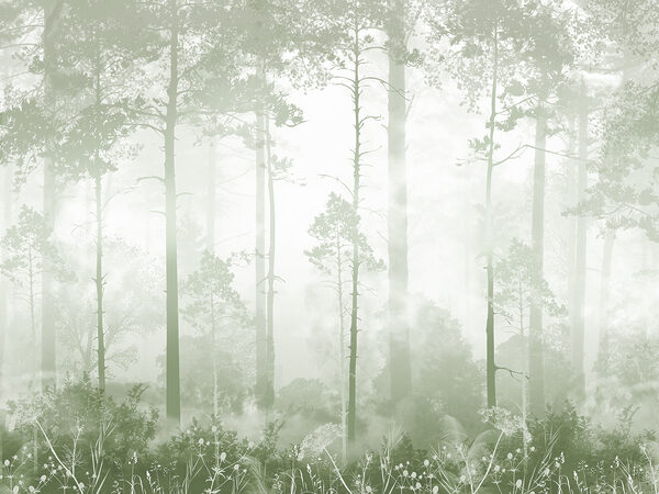 Une forêt brumeuse avec de grands arbres Une forêt brumeuse avec de grands arbres