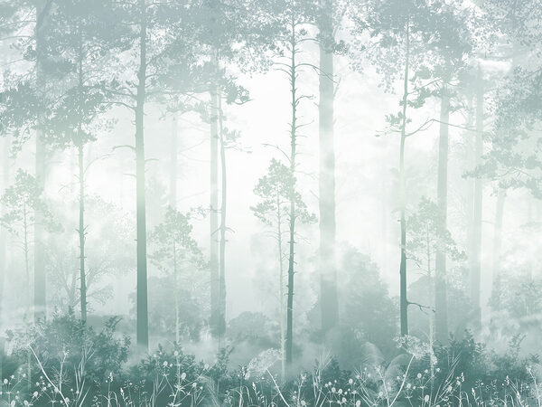 Une forêt brumeuse avec de grands arbres Une forêt brumeuse avec de grands arbres