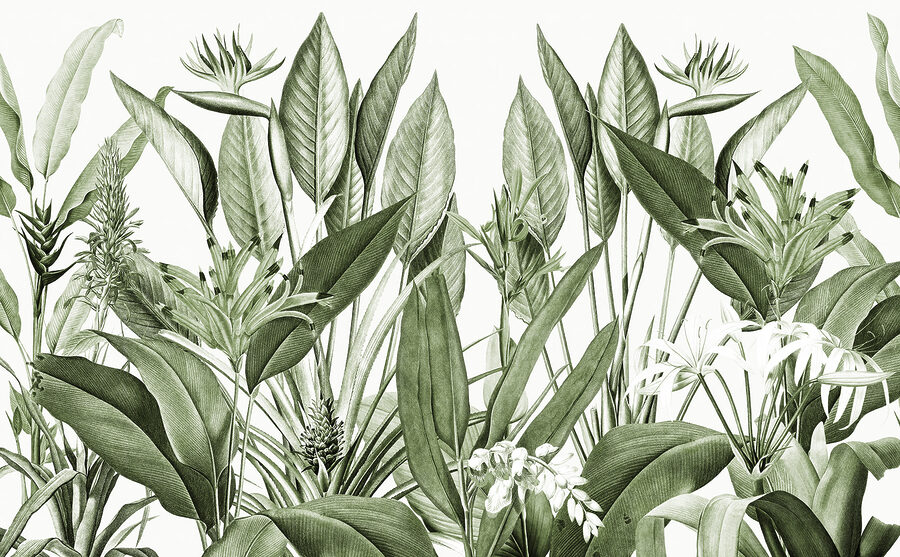 Une verdure luxuriante aux détails délicats