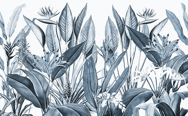 Feuillage tropical dans des tons monochromes Feuillage tropical dans des tons monochromes