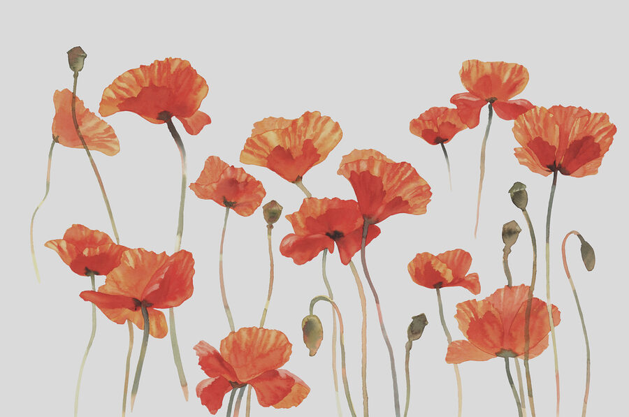 Un groupe de fleurs orange