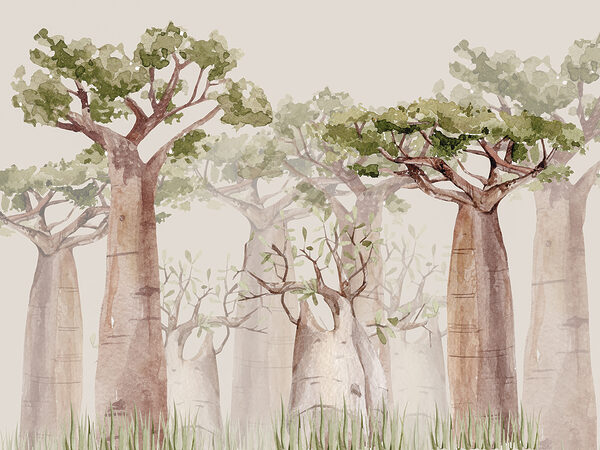 Un groupe d'arbres aux feuilles vertes Un groupe d'arbres aux feuilles vertes