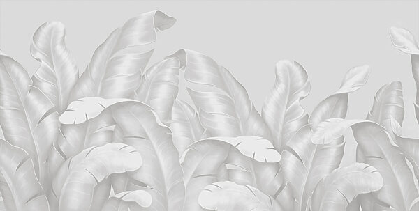 Un groupe de feuilles blanches Un groupe de feuilles blanches