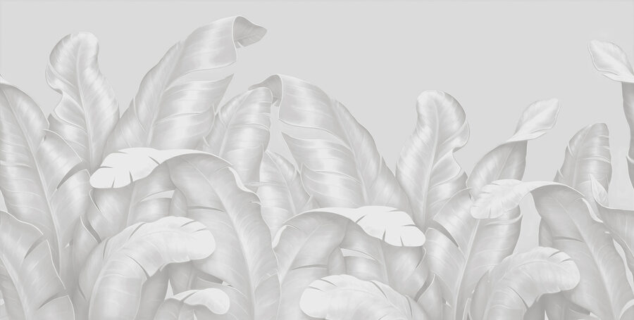 Un groupe de feuilles blanches Un groupe de feuilles blanches