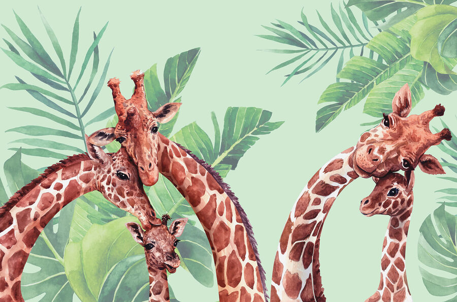 Un groupe de girafes avec leurs têtes ensemble