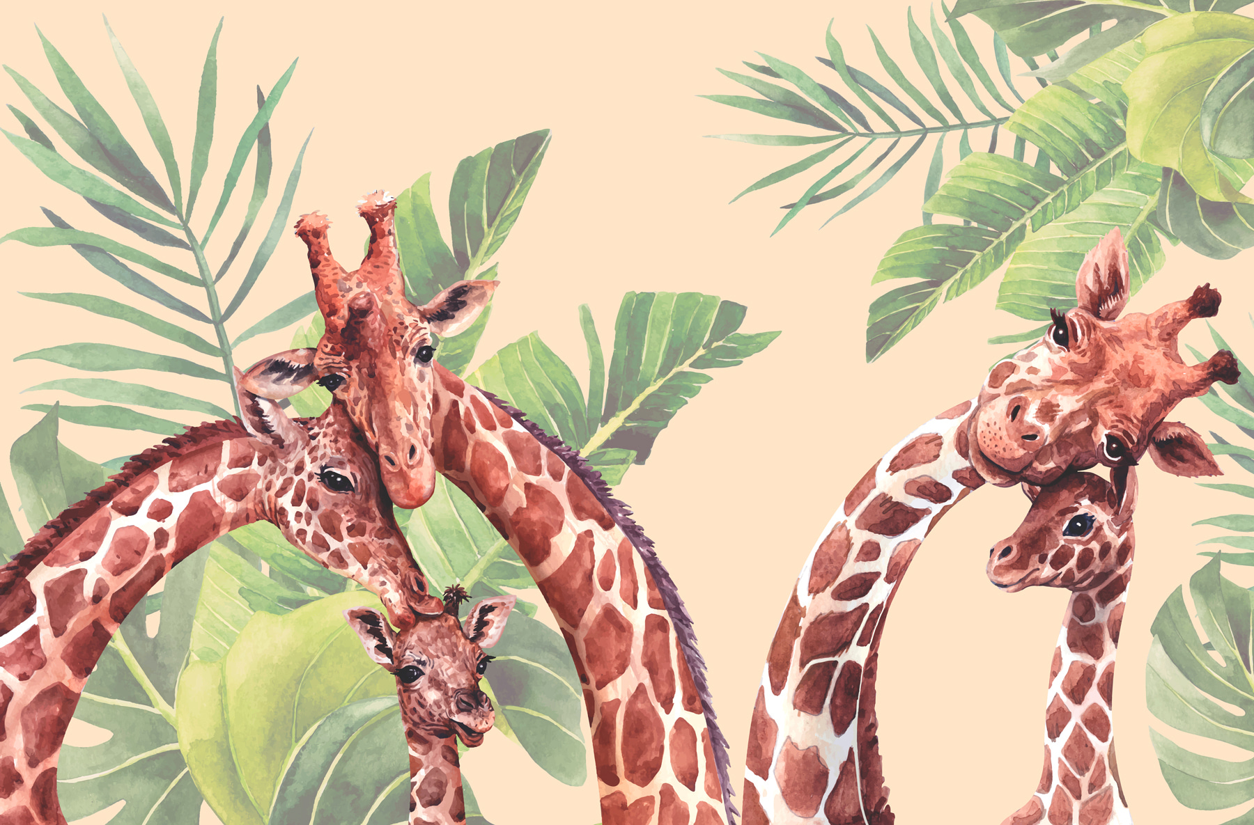 A group of giraffes with long necks A group of giraffes with long necks