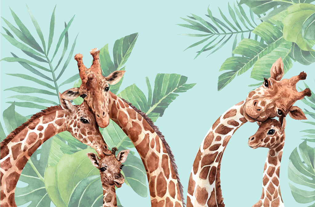 Un groupe de girafes avec leurs têtes ensemble Un groupe de girafes avec leurs têtes ensemble