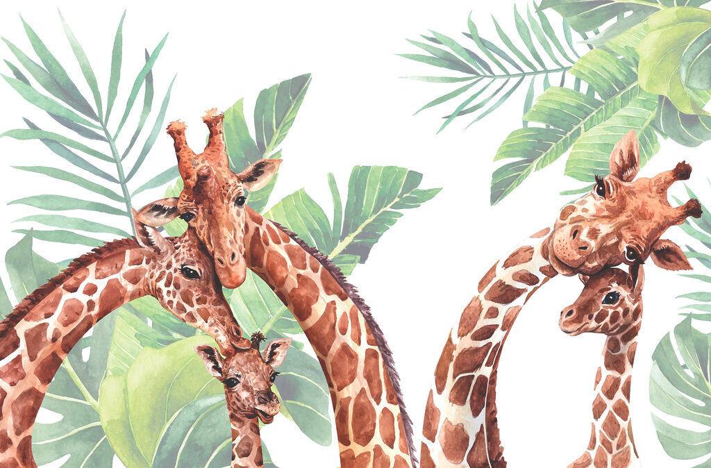 Un groupe de girafes avec la tête devant des feuilles Un groupe de girafes avec la tête devant des feuilles