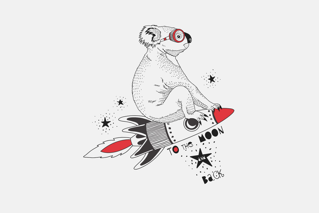 Un koala sur une fusée Un koala sur une fusée