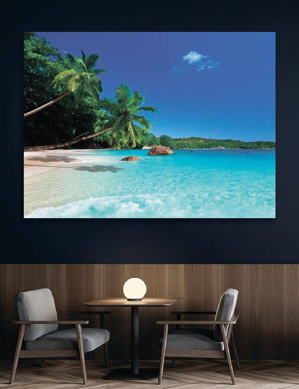 Une plage avec des palmiers et de l'eau bleue Une plage avec des palmiers et de l'eau bleue