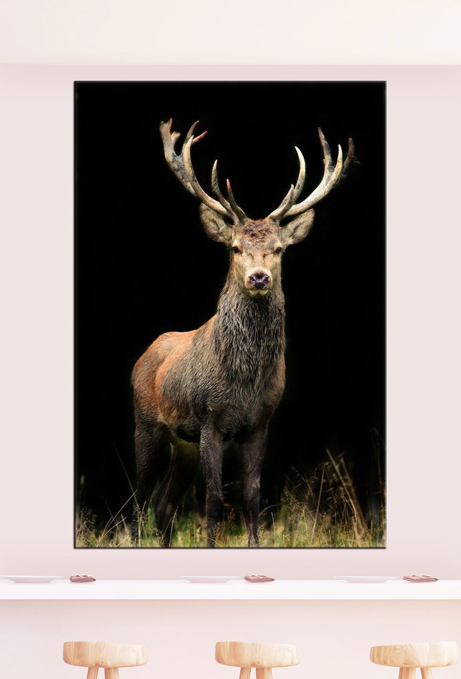 Un cerf avec des bois dans l'obscurité
