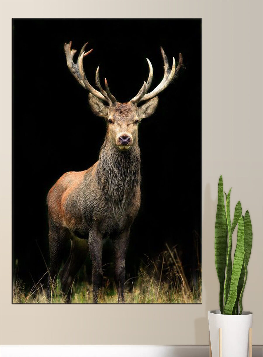 Un cerf avec des bois dans l'obscurité