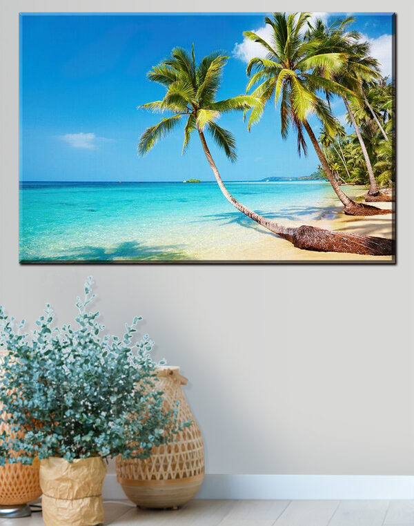 Palmiers sur une plage Palmiers sur une plage