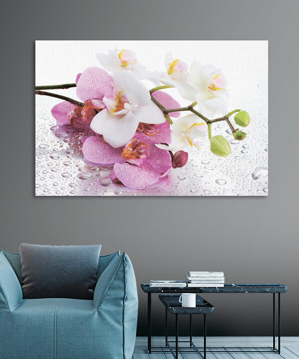 Gros plan sur les fleurs Gros plan sur les fleurs