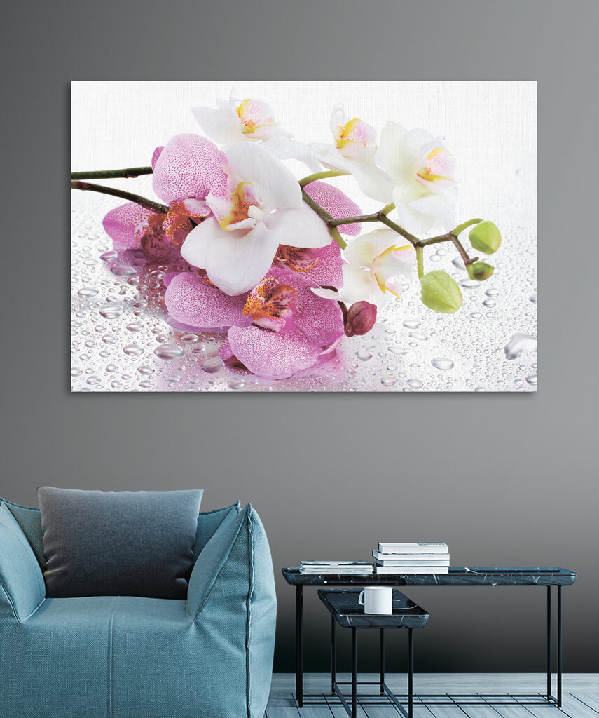 A close up of flowers