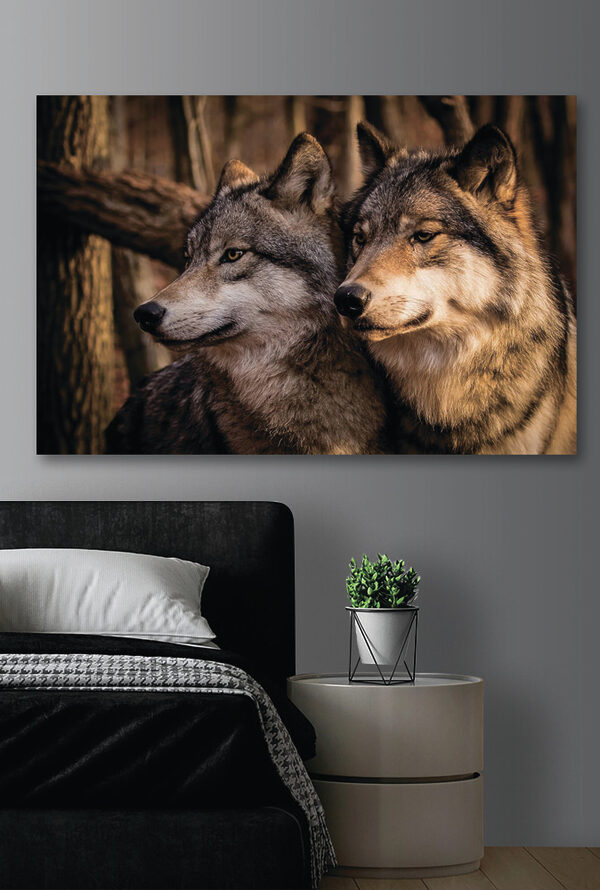 Un couple de loups dans les bois Un couple de loups dans les bois