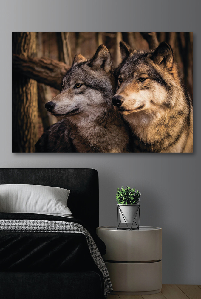 Un couple de loups dans les bois