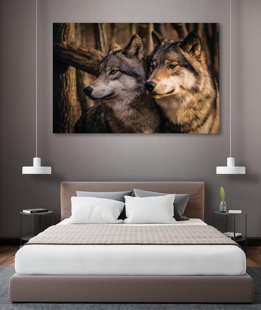 Un couple de loups dans les bois