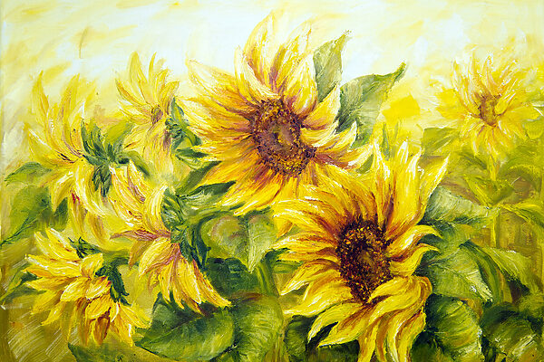 Une peinture de tournesols Une peinture de tournesols