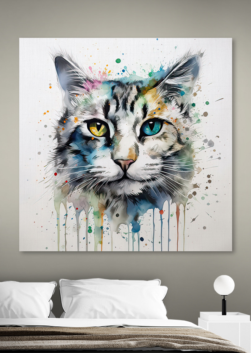 Un chat aux yeux bleus Un chat aux yeux bleus