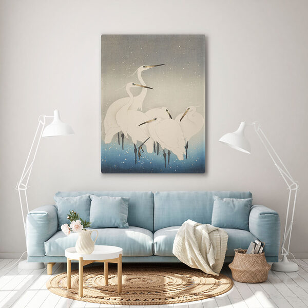 Un groupe d'oiseaux blancs au long bec Un groupe d'oiseaux blancs au long bec