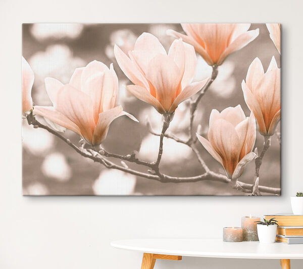 Groupe de fleurs sur une branche Groupe de fleurs sur une branche