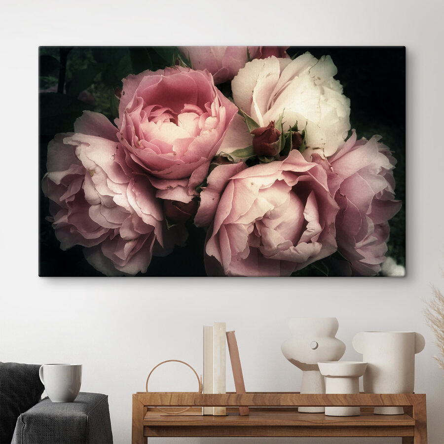 Groupe de roses roses et blanches