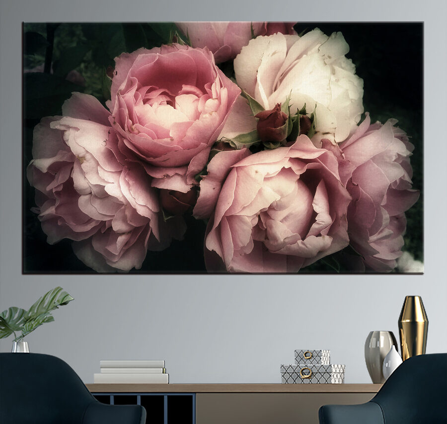 Groupe de roses roses et blanches