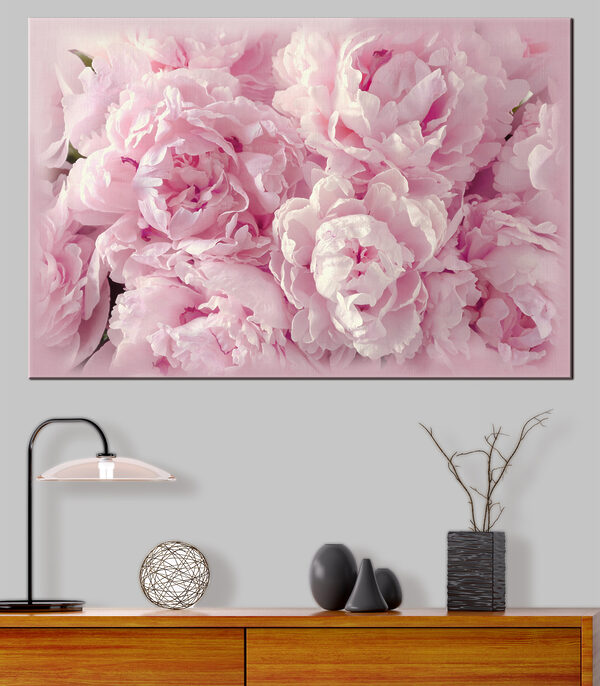 Un groupe de fleurs roses Un groupe de fleurs roses