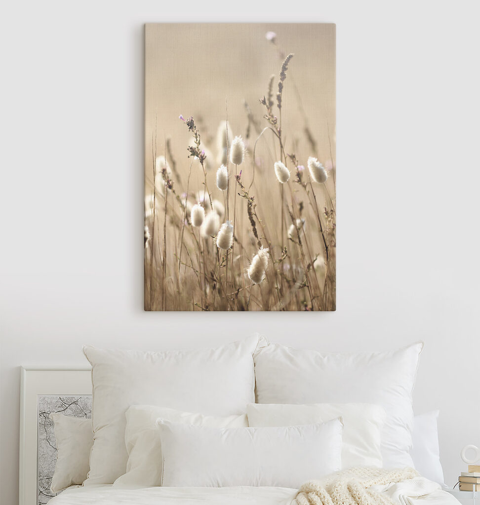 A close up of a plant A close up of a plant