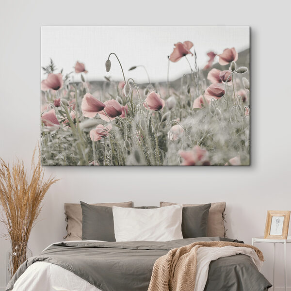 Un champ de fleurs roses Un champ de fleurs roses