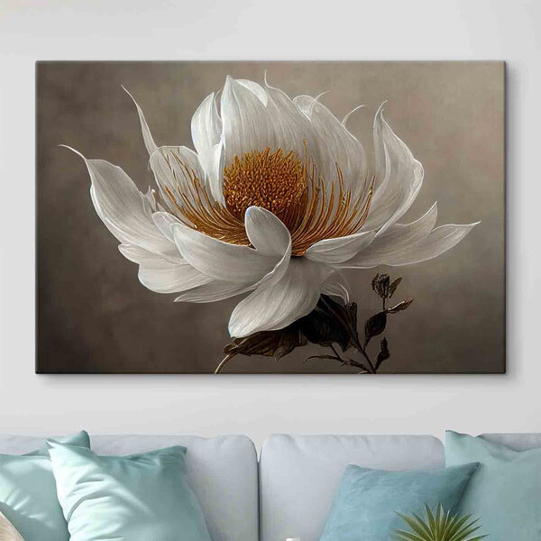 Une fleur blanche avec un centre jaune Une fleur blanche avec un centre jaune