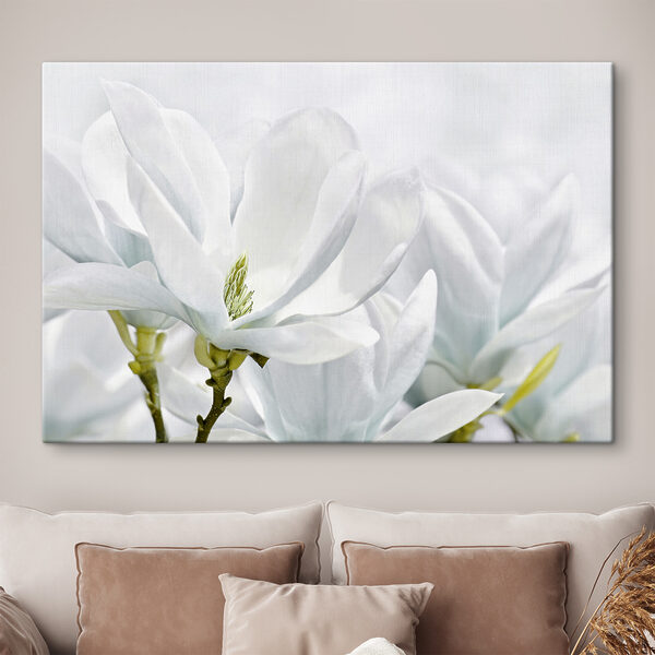 Gros plan sur des fleurs blanches Gros plan sur des fleurs blanches